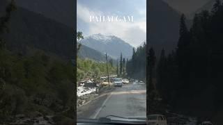 Nature’s masterpiece in Pahalgam #kashmir #pahalgam #shorts #ytshorts #youtubeshorts #kashmirvalley