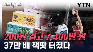 국내서 터진 '잭팟'...200원 걸고 '37만 배' 먹은 당첨자 [지금이뉴스] / YTN