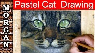 Pastel Painting  - Drawing a cat portrait with pastel pencils