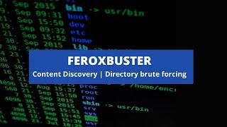 FEROXBUSTER | FAST CONTENT DISCOVERY & DIRECTORY BRUTE FORCING TOOL | BUG BOUNTY TOOL