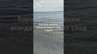 12 ноября 2024 г.