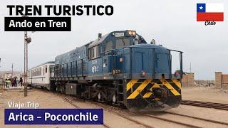 ARICA POCONCHILE train in northern CHILE | ANDO EN TREN