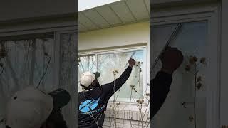Toronto Window Cleaners at Silverlight Windows & Eaves deliver high-quality window cleaning services