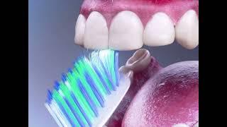 How To Brush Your Teeth | adult swim