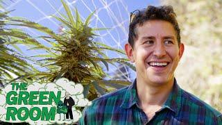 Starting a pot business in California: A cautionary tale | The Green Room