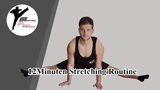 12 Minuten Stretching Routine