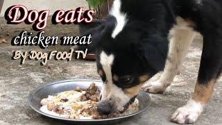 Dog eats chicken meat episode 361| By Dog Food TV