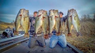 10 Bass Weighed 81 lbs?!?! The REAL Story Behind This EPIC Photo!