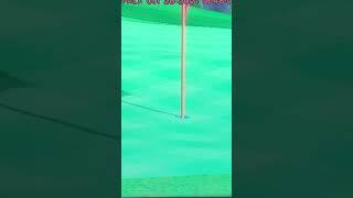Incredible EAGLE on Hole 20!! #wii #wiisportsresort #wiisportsgolf #wsr #golf