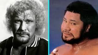 WRESTLING SHOOT| Dr  D David Schultz on Fighting Haku For Real