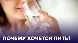 Почему мучает ЖАЖДА? Болезни, при которых постоянно ХОЧЕТСЯ ПИТЬ