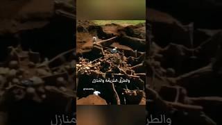 كيف يمكن أن يكون شكل وحجم مستعمرات النمل في الحقيقة