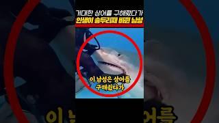 거대한 상어를 구해줬다가 인생이 송두리째 바퀸 남성