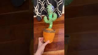 My kids love this dancing cactus toy