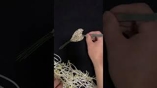 Bean sprout puzzle painting Golden beans Bean sprouts discover life and beauty Fruit and vegetab