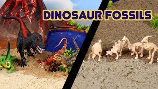 Digging for Dinosaurs: Discovering Herbivores and Carnivores!