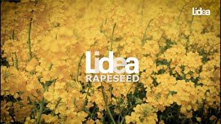 RAPESEED IS PART OF LIDEA'S CORE EXPERTISE