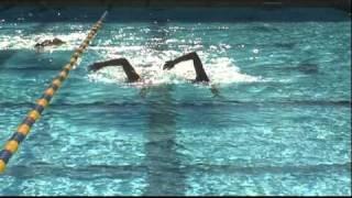 Total Immersion Freestyle Ultimate Demo