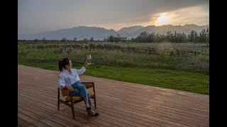 Boutique Winery Looks To Put China On World Wine Map