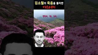 진달래꽃의 시인 김소월, 그가 어떻게 죽었는지 과연 우리는 제대로 알고 있을까? 