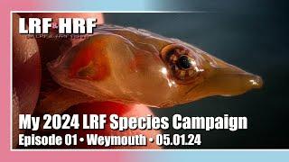 Episode 01: My 2024 LRF Species Hunt - Weymouth