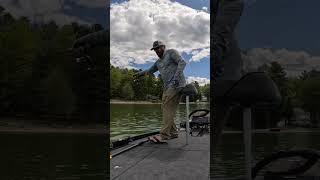 Have You Tried This Sneaky Little Bait Yet?!
