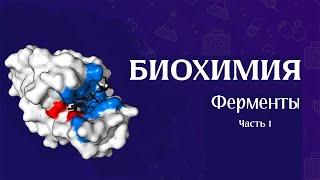 Биохимия | Ферменты часть 1