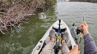 Backwater Mangrove Fishing New Waters! South Florida Kayak Fishing