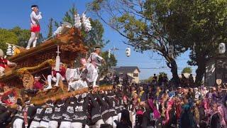 【 昔ながらの村祭り やけど ギャル 祭り 🩷 の 宮入  陶器 のだんじり はずっと 上地車  】堺市 陶器地区 だんじり祭り 陶荒田神社 宮入り 〔 福田 だんじり祭 〕