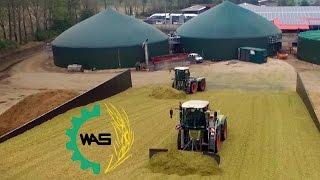 WAGNER AGRARSERVICE im Einsatz | Claas Jaguar 980 | 5 Mercedes Actros | 2 Claas Xerion 3800 | Mais