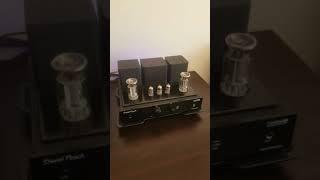 Mazzgorilla Mod Sweet Peach GU50 Single Ended Triode Class A Amplifier