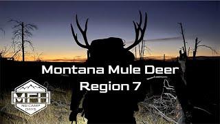 2024 Montana Region 7 Mule Deer Hunt **3 Kill Shot Video**