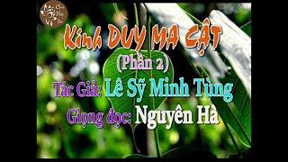 Giảng Giải Kinh Duy Ma Cật Phần 2 - Lê Sỹ Minh Tùng
