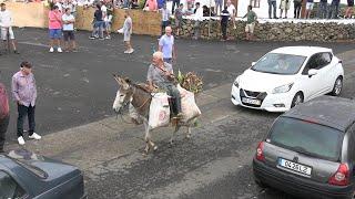 07/ 09/ 2024 -ARRAIAL  CARROS ATÉ  UM JUMENTO ENTRA EM CENA