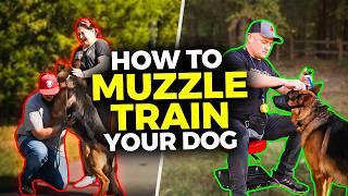 Muzzle Training Made EASY for ANY Dog - Don't Make this Mistake!