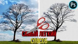 Как вырезать сложный объект в фотошопе | How to cut a complex object in Photoshop