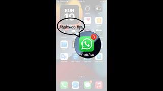 How to off last seen in WhatsApp ?