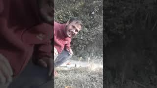 kicks with Bonsai Traveller Dhyan Nirakar part 1