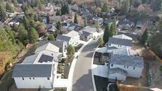 Sutter's Ridge - Dec. 13, 2024- by Williams Homes - Placerville, CA