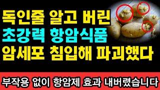 항암제 효과의 10분의 1의 힘을 가진 최고의 항암식품 1가지 I 과학적으로 검증된 항암식품 50가지 I 니시노 호요쿠 I 암이 사라지는 식사 I 암 억제 식품사전