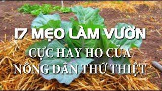 17 Mẹo Làm Vườn cực hay ho của nông dân thứ thiệt