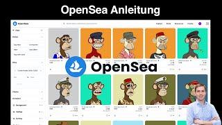 OpenSea Anleitung - Wie kauft man NFTs? 