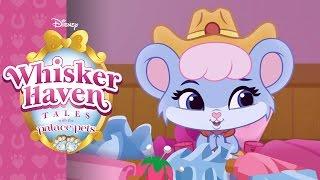 Whisker Haven Tales with the Palace Pets | Briezy Does It | @disneyjr