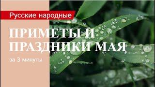 Русские народные праздники, приметы и традиции мая на каждый день