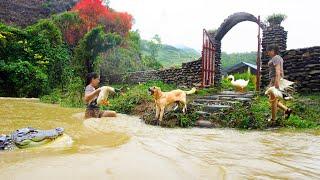 Heavy Rain And Floods Washed Away The Bamboo Bridge - Transport Stone Prepare Build Solid Bridge