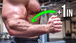 Want Huge Forearms? I Gained 1 Inch Using THIS Science-Backed Method!