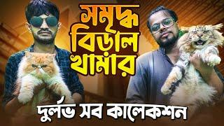 Cat Price in Bangladesh | Exotic, Bengal, Sphynx, Maine Coon, Siamese, Ragdoll