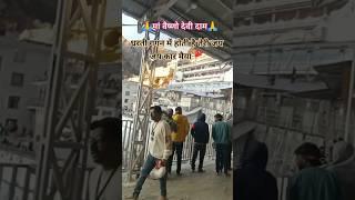 तेरे भवन में होती है तेरी जय जय कार मैया#shortvideo #vaishnodeviyatra #share #travel #ytshorts