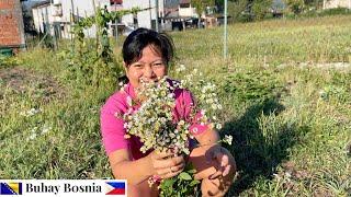 Lijepo cvijeće na polju - govoreći filipinski | Beautiful wild flowers -speaking tagalog/filipino