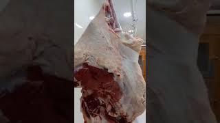 Best Cow Meat in the World By Matchless Recipes